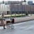A quick walk around the Docks | BLC_0146.jpg