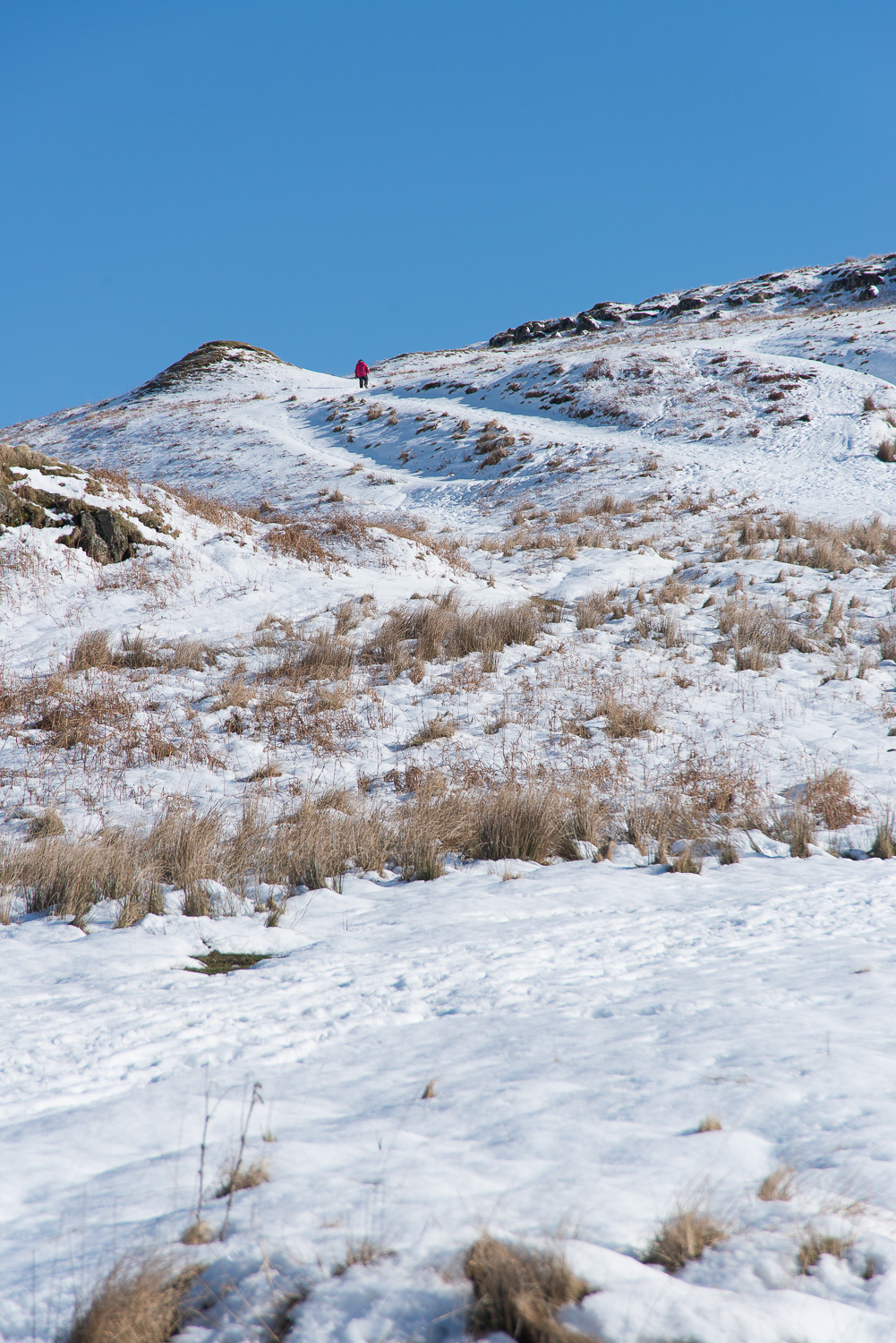 Sunshine and Snow - Photographer's dream | DSC_3027.jpg