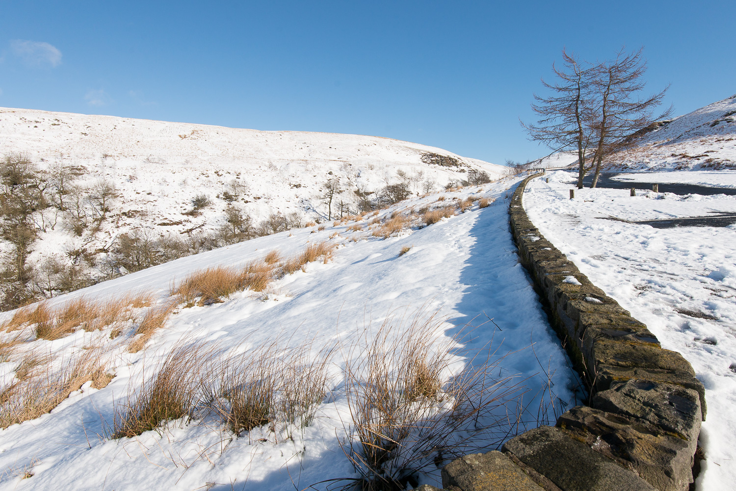 Sunshine and Snow - Photographer's dream | DSC_3018.jpg