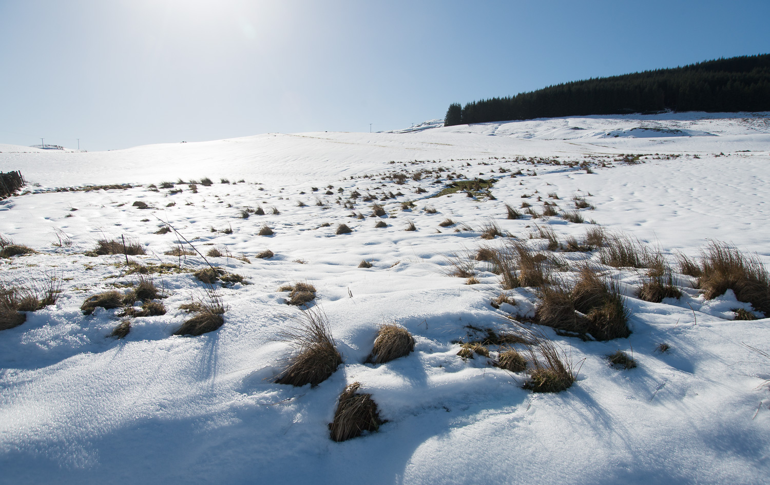 Sunshine and Snow - Photographer's dream | DSC_3044.jpg