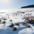 Sunshine and Snow - Photographer's dream | DSC_3045.jpg