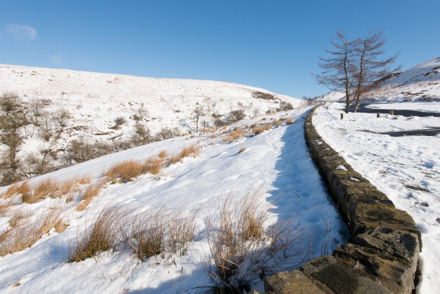 Sunshine and Snow - Photographer's dream