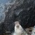 Seals in Norfolk | DSC_8418.jpg