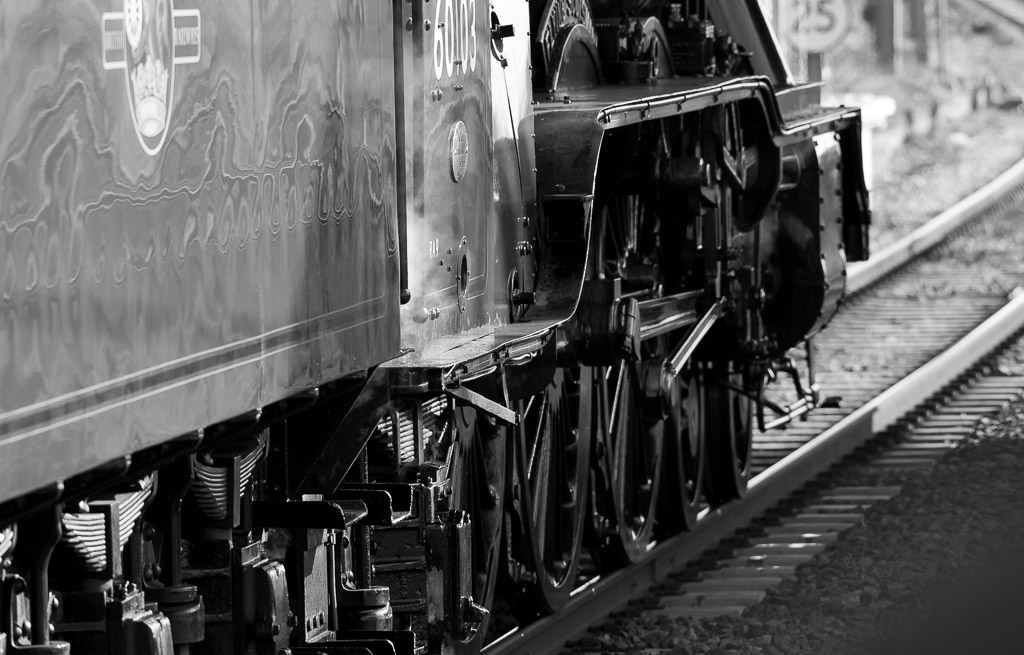 Flying Scotsman Flies | Peterborough-122_160224-0732.jpg