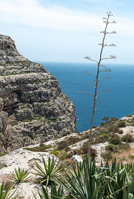 Blue Grotto - Malta